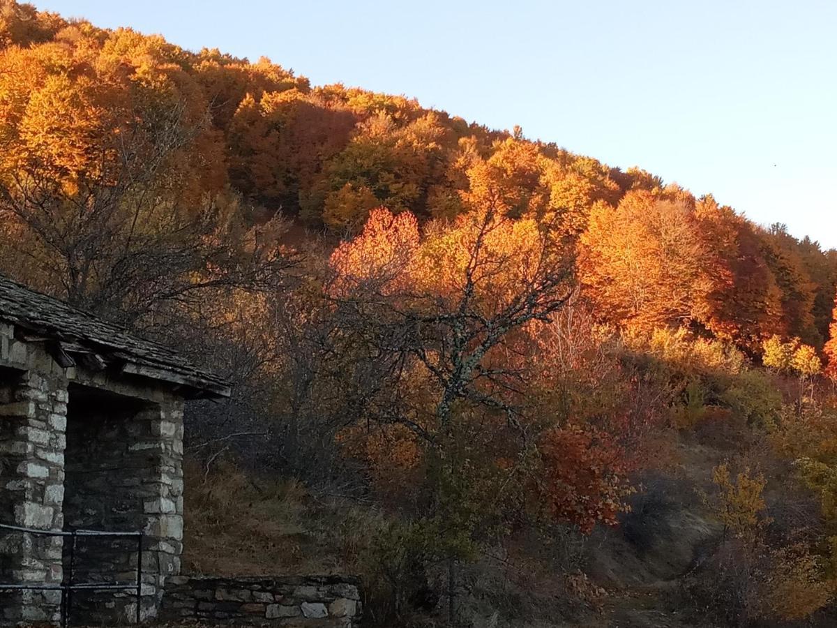 Guesthouse Kontogianni - Materka Nymfaio Bagian luar foto